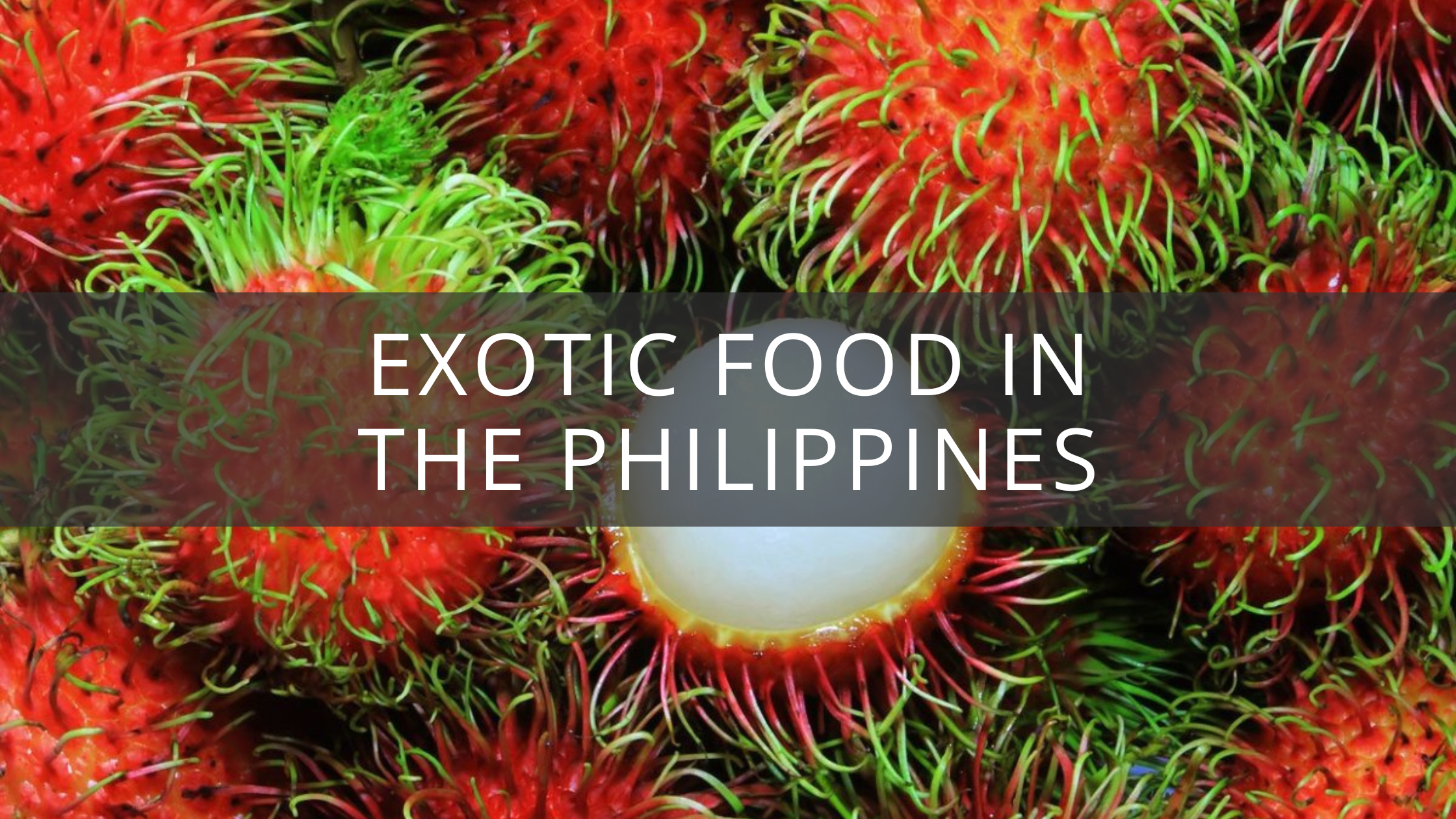 Exotic Food in the Philippines