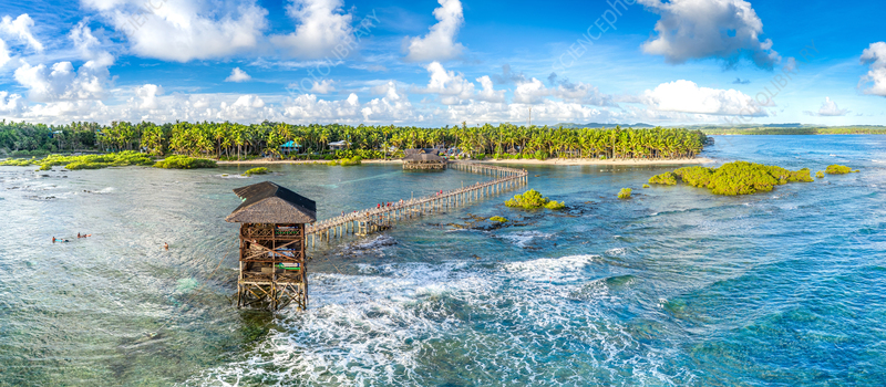 Cloud 9 Deck, General Luna, Siargao